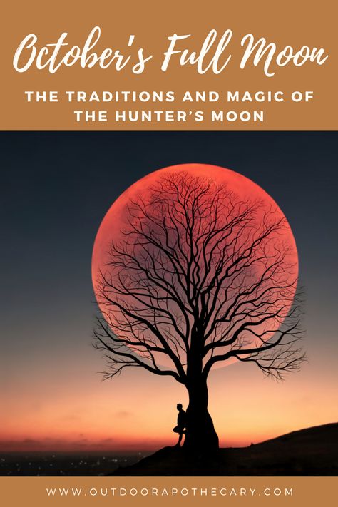 Dive into the mystical energy of October’s Full Moon, known as the Hunter’s Moon. Explore its rich folklore and spiritual significance, perfect for adding magic to your autumn rituals. #FullMoon #HunterMoon #OctoberMagic Hunter’s Full Moon, Hunters Full Moon Ritual, October Full Moon Ritual, Hunter Moon Ritual, Full Moon October 2024, Hunters Moon Ritual, Autumn Rituals, October Full Moon, October Magic