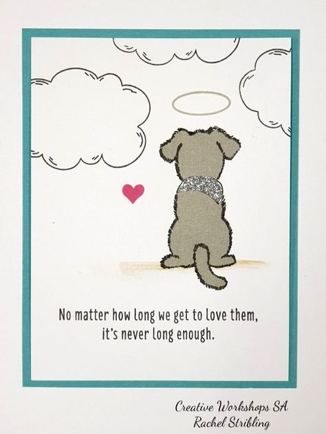 Miss My Dog, Dog Poems, Colorful Hairstyles, Budgie Parakeet, Pet Sympathy Cards, Dog Quotes Love, Dog Sympathy, Dog Heaven, Pet Remembrance