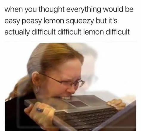 When you thought everything would be easy | Easy Peasy Lemon Squeezy | Know Your Meme Tromso, Work Memes, Memes Humor, E Card, Intj, Httyd, Really Funny Memes, Makes Me Laugh, Too Funny