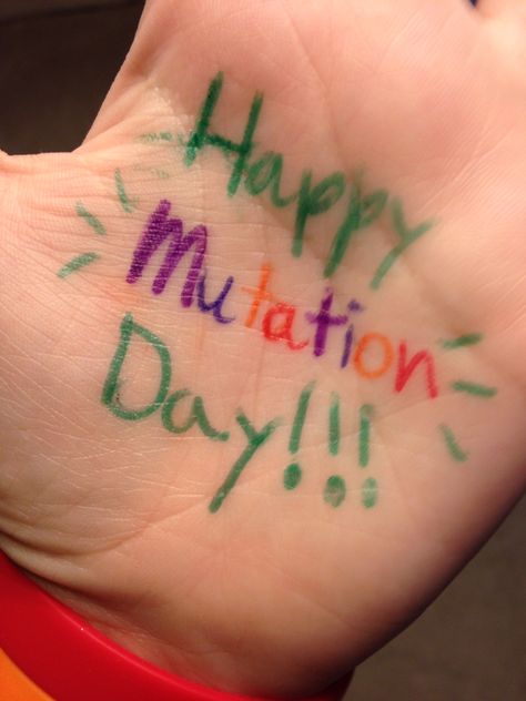 Yes, I know, I'm a day late, but whatever!! I did it and I had all my tmnt bracelets on! And I was fabulous!! HOPE YOU ALL HAD A HAPPY MUTATION DAY!!!!!!!!!!!!!!!!!!!!!!!!!!!!!!!!!!! Tmnt Bracelet, Funny Animal Quotes, Teenage Mutant Ninja Turtle, Tmnt 2012, I Did It, Animal Quotes, Funny Animal, Mutant Ninja, Teenage Mutant