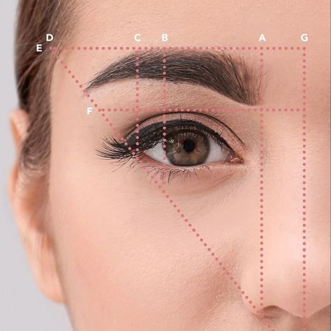 We’ve whipped up the Basics to Eyebrow Makeup on the BLOG. Learn more the golden brow ratio and natural eye brow products to get your brows… Shape Learning, Makeup Basics, Permanente Make-up, Perfect Eyebrow Shape, Instagram Brows, Membentuk Alis, Sparse Eyebrows, Bentuk Alis, Plucking Eyebrows