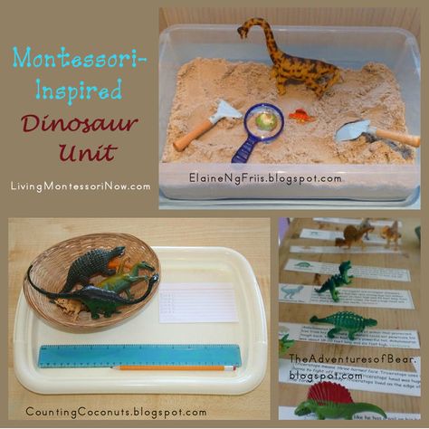 Dino Crafts, Dinosaur Math, Dinosaur Unit Study, Dinosaur Week, Dinosaur Lesson, Emergent Curriculum, Montessori Science, Dinosaurs Preschool, Dinosaur Printables