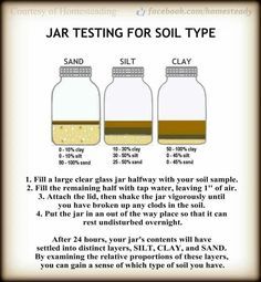 Ya’ know what makes me happy? Dirt. I’m not talkin’ about crappy dirt on the side of the road, I’m talkin’ about real, dark, rich & moist dirt. The... Soil Type, Easy Vegetables To Grow, Soil Testing, Garden Soil, Veggie Garden, Types Of Soil, Gardening For Beginners, Lawn And Garden, Growing Vegetables