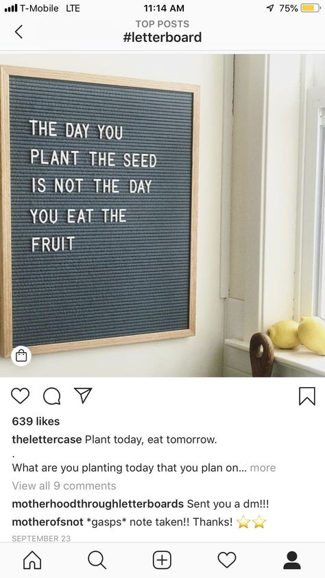 Inspirational Letter Board Quotes - The day you plant the seed is not the day you eat the fruit. #letterboard Letter Board Quotes, Motivational Funny, Message Board Quotes, Felt Letter Board, Classroom Quotes, Word Board, Fina Ord, Board Quotes, Funny Gym