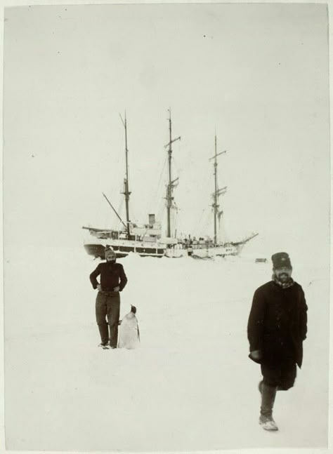 William Spiers Bruce and a penguin during The Scottish National Antarctic Expedition Svalbard Aesthetic, Expedition Aesthetic, Antarctic Expedition, Pirate Photo, Nautical Aesthetic, Arctic Sea, Sea House, Digital Experience, Adventure Aesthetic