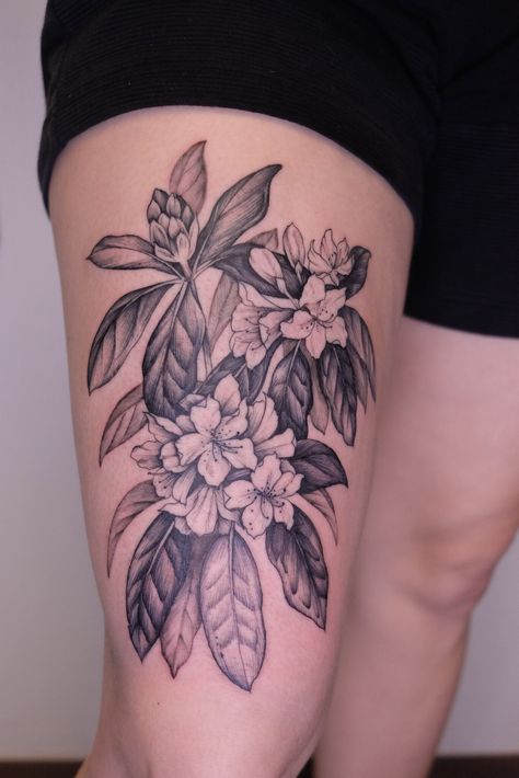 Rhododendron Flower Tattoo, Rodadendren Flower Tattoo, Rhodendron Tattoo, Rhodedendrum Tattoo, Coast Rhododendron Tattoo, Pacific Rhododendron Tattoo, Rhodedendrum Flower, Rhododendron Illustration, Rhododendron Drawing