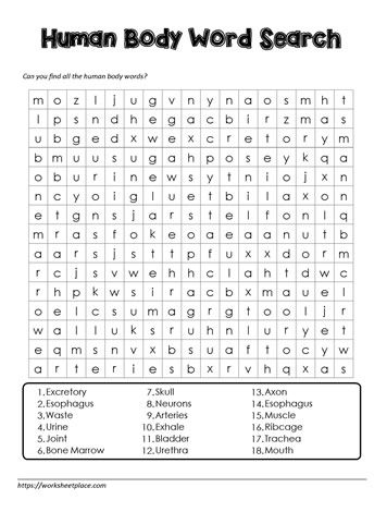 Wordsearch Worksheets, Human Body Unit, Homeschool Ideas, Pen And Paper, Body Works, Word Search, To Learn, Word Search Puzzle, Web Design