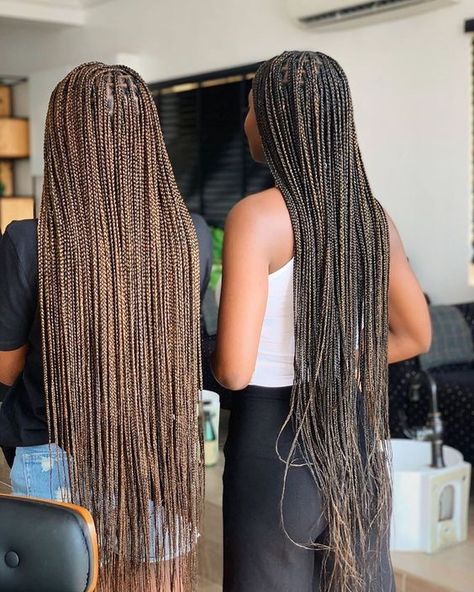 Short Box, Afro Braids, Fesyen Rambut, Blonde Braids, Hair Twist, Box Braids Hairstyles For Black Women, Braids Hairstyles Pictures, Bald Hair, Twist Styles