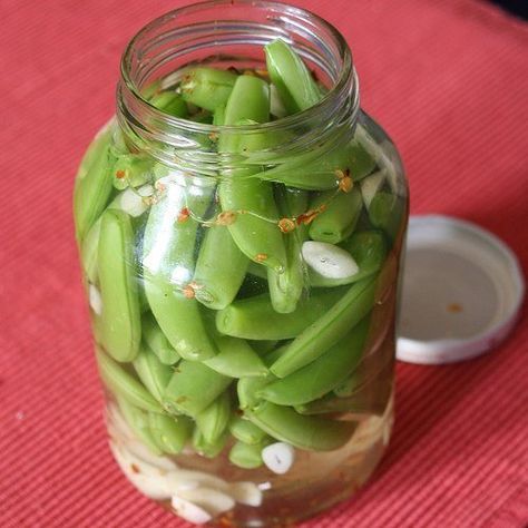 Pea Pickles! Sweet, Crunchy, Pickled Sugar Snaps Freezing Fresh Corn, Spicy Pickled Carrots, Sugar Snap Pea Recipe, Pickled Corn, Snap Peas Recipe, Mexican Street Corn Recipe, Pickled Cauliflower, Radish Recipes, Pickled Carrots