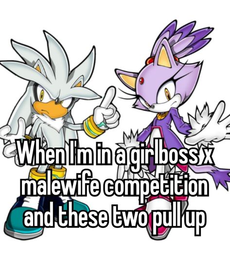 I had the fattest crush on these two when I was a kid, especially on Blaze Blaze And Silver Matching Icons, Blaze And Silver, Silver X Blaze, Sonic Blaze, Blaze Sonic, Silver And Blaze, Hedgehog Meme, Emoji Drawings, Midlife Crisis