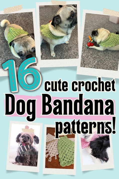 How to Crochet a Dog Bandana (16 Cute Patterns!) Crochet Dog Bandana Free Pattern Easy, Pet Crochet Patterns Free, Cute Crochet Dog, Crochet Dog Bandana, Crochet Dog Collar, Dog Bandana Tutorial, Collar Patterns, Crochet Pets, Weave Braid