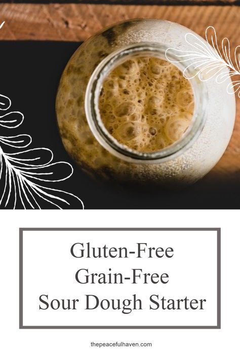 Grain Free Sourdough Starter, Paleo Sourdough Starter, Gluten Free Sour Dough Starter, Gluten Free Sour Dough Bread Recipe, Keto Sourdough Starter, Keto Sourdough, Healing Autoimmune, Sour Milk Recipes, Gluten Free Sandwich Bread Recipe