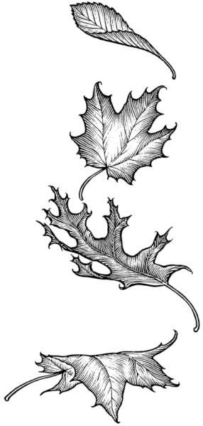 Leaves Leaf Sketches Pencil, Drawing Leaves Pencil, Leaves Pen Drawing, Forest Leaves Drawing, Falling Leaf Drawing, Autumn Sketches Pencil, Leaves Drawing Sketches, Tree Leaf Drawing, Tree Leaves Drawing