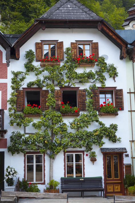 The baroque architecture of Hallstatt, Austria  is just as beautiful covered with flowers as it is with snow. Beautiful House Images, Swiss House, German Houses, Hallstatt Austria, Cottage Garden Design, Beautiful Town, Austria Travel, Baroque Architecture, Background 3d