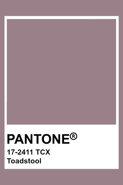 PANTONE 17-2411 TCX Toadstool #pantone #color #mauve Pantone Tcx, Pantone Color Chart, Pantone Swatches, Pantone Palette, Pantone Colour Palettes, Color Chip, Color Harmony, Colour Board, Colour Schemes