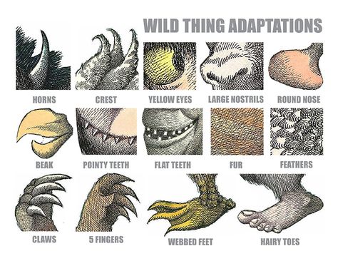 Animal Adaptations, Maurice Sendak, 4th Grade Science, Science Guy, Arts Integration, Wild Things, Teaching Science, Science Lessons, Art Lesson