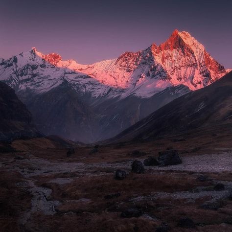 Annapurna Region in Nepal is a mesmerizing destination, known for its stunning landscapes, diverse culture, and iconic trekking routes. Surrounded by majestic peaks, including Annapurna and Machapuchare, the area offers trekkers breathtaking views, charming villages, and encounters with Gurung and Thakali communities. 🎥 @bleroncaka_photography #nepal #mountains #himalayas #nepalvisuals #travelnepal #visitnepal #annapurna #machapuchare #ghandruk #annapurnabasecamp #landscapephotography #nat... Himalayan Mountain Range, Mountains Himalayas, Nepal Mountains, Twelve Kingdoms, Himalayas Mountain, Annapurna Base Camp, Himalayan Mountains, Nepal Travel, Stunning Landscapes