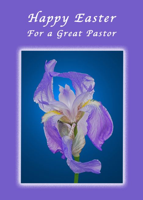 Easter Happy, Creative Card, Free Ecards, Card Crafts, Happy Birthday Sister, Purple Iris, Sister Birthday, Special Cards, Card Illustration