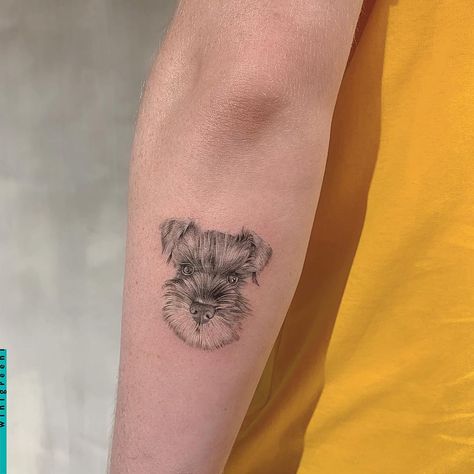 miniature #schnauzer for James 🐕 @shanghaitattoowwwith #dog #dogtattoo Schnauzer Tattoo Minimalist, Mini Schnauzer Tattoo, Miniature Schnauzer Tattoo, Schnauzer Tattoo, Zeus Tattoo, Schnauzer Art, Dainty Tattoos, Mini Schnauzer, Face Tattoo