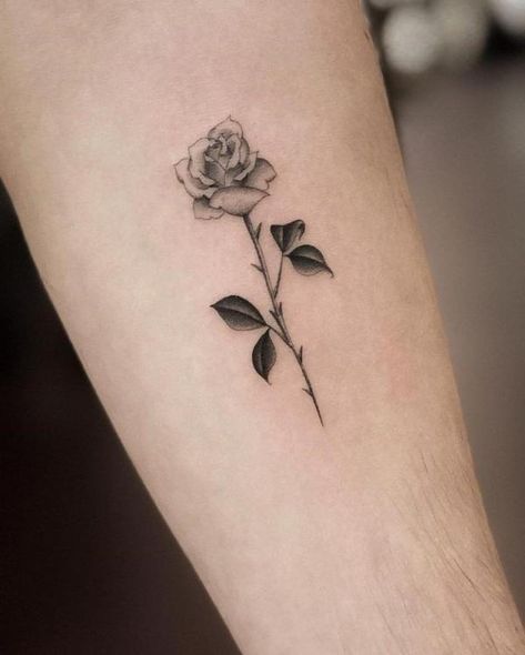 Barbwire Rose Tattoo, Roses And Thorns Tattoo, Thorny Rose Tattoo, Thorn Rose Tattoo, Long Stem Rose Tattoo, Rose With Thorns Tattoo, Rose Thorn Tattoo, Rose With Thorns, Black And Grey Rose Tattoo