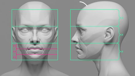 3d Head Reference, Female Face Proportions, Female Face Anatomy, Female Head Anatomy, Female Head Reference, Head Shading, Sculpt Face, Face Topology, Zbrush Anatomy