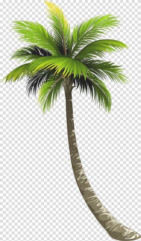 Palm Trees Clipart, Onam Background Png, Palm Trees Design, Onam Png Images, Onam Background, Palm Drawing, Coconut Tree Drawing, Coconut Tree Design, Beach Trees