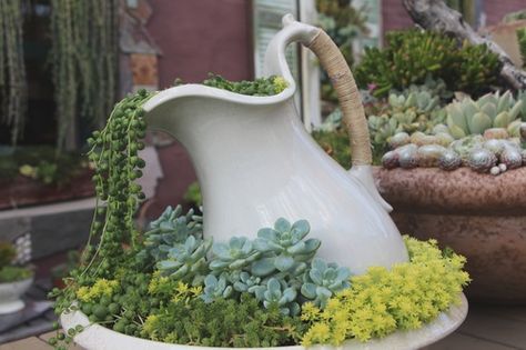 Succulent Cafe Oceanside via Needles + Leaves  - succulent art - I LOVE IT!! Ideas Para Decorar Jardines, Tanaman Sukulen, Unusual Planter, Taman Diy, Jardim Diy, نباتات منزلية, Succulent Gardening, Secret Gardens, Have Inspiration