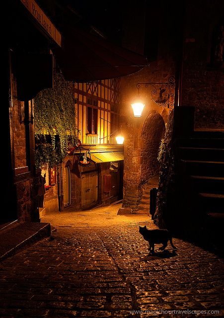 Le Chat Noir du Mont St Michel Mt St Michel, Mont Saint Michel France, Dark Alley, Mont St Michel, Alley Cat, France Photos, Mont Saint Michel, Saint Michel, Dark Night