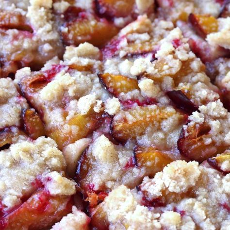 Authentic Zwetschgenkuchen (German Plum Cake) German Plum Cake, Plum Butter, German Cake, German Desserts, Plum Recipes, German Baking, Plum Cake, Shortcrust Pastry, Southern Region