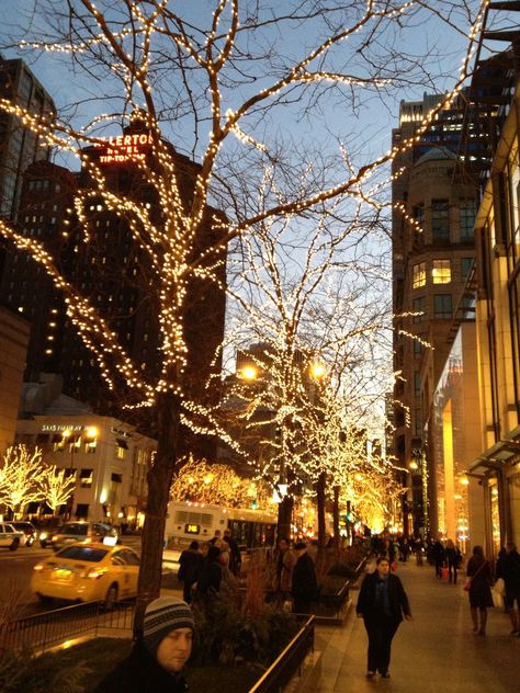 Christmas on Michigan Ave. Chicago Winter, Lovely Places, Christmas Town, Beautiful Sights, Winter Wonder, Trip Ideas, Chicago Illinois, Winter Is Coming, Countries Of The World