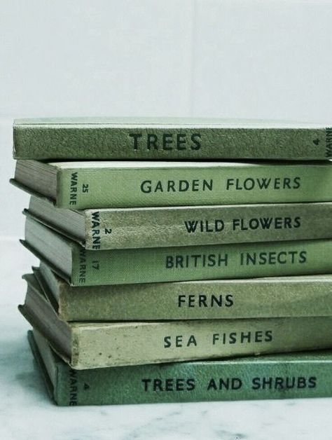 Green Inspo, Mint Aesthetic, Verde Vintage, Sage Green Wallpaper, Mint Green Aesthetic, Hijau Mint, Green Pictures, Dark Green Aesthetic, Slytherin Aesthetic