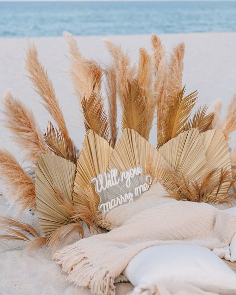 We are excited to share our beautiful Boho-style marriage proposal setup with you. To place an order, simply DM us or call +17867410112. Photo by @john_simon_photographer Location Miami Beach 🏝️ #miamiproposal #proposal #proposalideas #proposalsetup Crete Fashion, Beach Proposal Setup, Proposal Setup, Beach Proposal, I Love The Beach, Marriage Proposal, Place An Order, Marriage Proposals, Beach Lovers