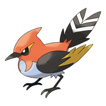 Fletchinder | Pokémon Wiki | Fandom Sun Pokemon, Aurorus Pokemon, Flying Type Pokemon, Draw Pokemon, Bird Pokemon, Pokemon Wiki, Fire Pokemon, Pokemon X And Y, Pokemon Tv