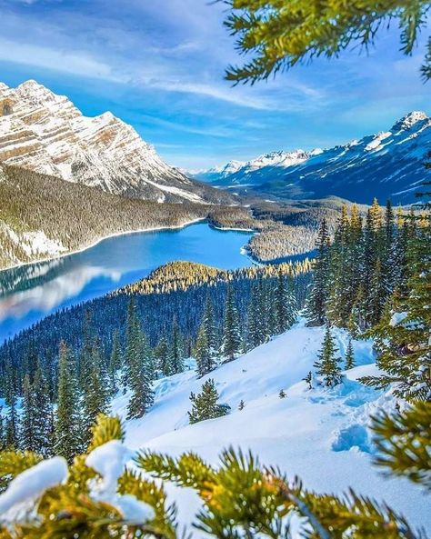 Peyto Lake Canada, Peyto Lake, Banff National Park Canada, Earth Photography, Nature Hd, Canada Road Trip, Amazing Travel Destinations, Dream Holiday, Location Photography