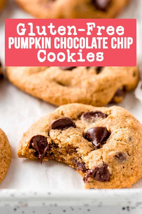 Gluten Free Thanksgiving Menu, Gluten Free Pumpkin Chocolate Chip, Soft Pumpkin Chocolate Chip Cookies, Gluten Free Pumpkin Cookies, Best Gluten Free Cookies, Gluten Free Pumpkin Recipes, Classic Chocolate Chip Cookies, Gluten Free Pumpkin Muffins, Gf Cookies