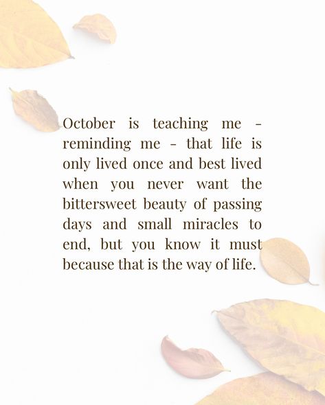 October is chugging right along and I’ve decided it’s the right time to share my reflections 🫶🏻 Y’all seem to be enjoying my monthly thoughts & observations… my hope is to inspire you to pause and reflect 🍂 What is October teaching you? #mindfulness #reflections #creativewriting #journalprompts My Hope, Hope Is, Right Time, Journal Prompts, Creative Writing, To Share, Mindfulness, Quick Saves