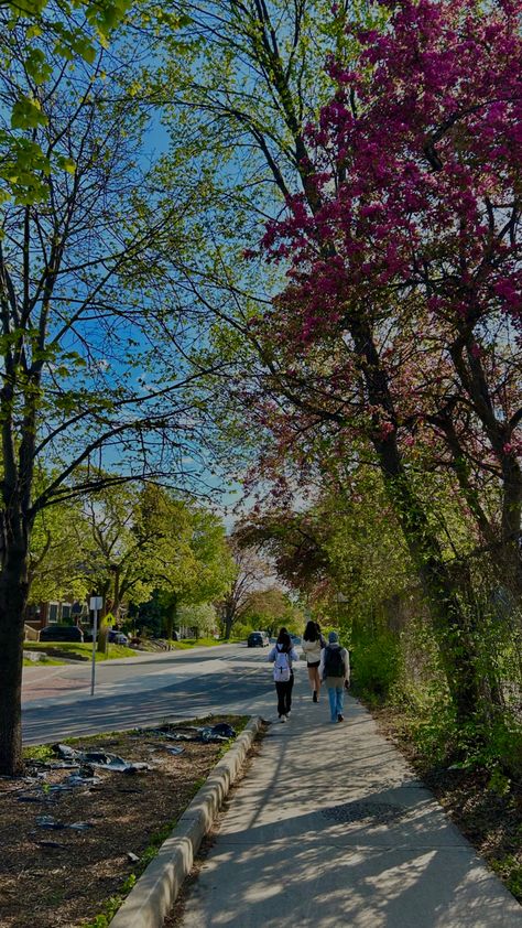 Ottawa Aesthetic, Summer Spring Aesthetic, Canada Aesthetic, Canada Ottawa, Student Aesthetic, Uni Life, Exchange Student, Ottawa Ontario, Spring Aesthetic