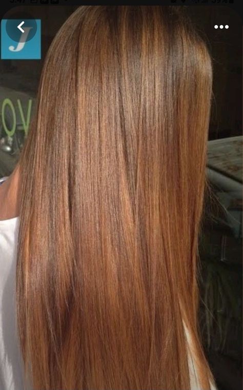 Bold Brown Hair, Honey Brown Hair, Ginger Hair Color, Hair Color Auburn, Strawberry Blonde Hair, Brown Hair Balayage, Brown Blonde Hair, Ombre Hair Color, Long Straight Hair