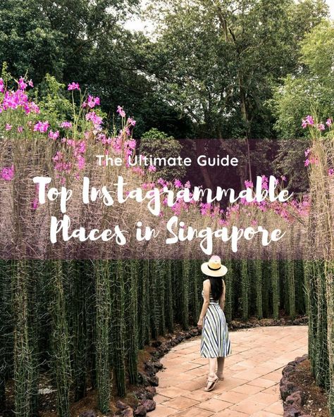 TOP INSTAGRAMMABLE PLACES IN SINGAPORE - Travel In Our Eyes Holiday Goals, Singapore Travel Tips, Places In Singapore, Things To Do In Singapore, Singapore Garden, Singapore Photos, Indoor Waterfall, Pacific Islands, Singapore Travel