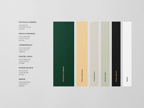 The Green Room Luxury Branding Identity, Pantone Palette, Graphic Design Brochure, Portfolio Design Layout, Green Palette, Industrial Design Sketch, Green Room, Brand Color Palette, Green Colour Palette