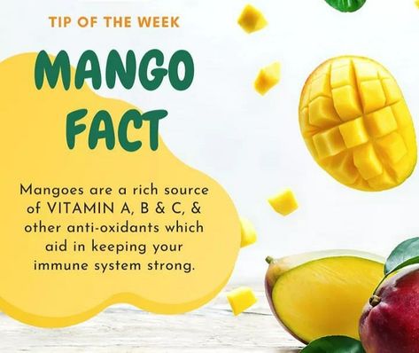 Did You Know? Mangoes are a rich source of Vitamin A, Vitamin B, Vitamin C, and other antioxidants, which aid in keeping your immune system strong. The king of fruits is also the king of your health. So, enjoy the season’s favorite fruit without any guilt. #Mangoes #FoodFacts #Foodie #HealthyFood #Nutrition #Food #CleanEating #HealthyEating #NutritionFacts #daulatsteel #daulatindustries #HealthyLifestyle #Snacks #Healthy #Calories #EatClean #FreshFood #Fitness #EatSmart #summerishere Mango Nutrition Facts, Mango Vitamins, Mango Nutrition, Mango Images, Healthy Calories, Mango Benefits, Food Health Benefits, Nutrition Food, Sources Of Vitamin A