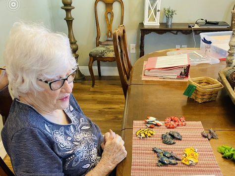 using sifting and sorting bins for memory care Memory Care Unit, Memory Care Activities, Busy Boxes, Senior Activities, Memory Problems, Memory Care, Volunteer Opportunities, Physical Wellness, Caregiver