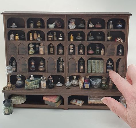 Miniature Making, Haunted Dollhouse, Diy Miniatures, Apothecary Cabinet, Apothecary Bottles, Miniature Rooms, Victorian Goth, Dollhouse Ideas, Cabinet Of Curiosities