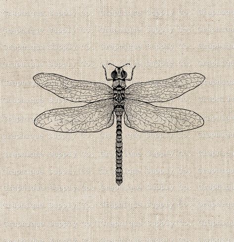 Printable Clip Art, Vintage Clip Art, Vintage Dragonfly, Dragonfly Art, Clip Art Vintage, Illustration Vintage, Art And Illustration, Vintage Clip, Iron On Transfer