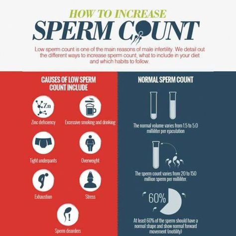 Sperm Count Increase, Fertility Vitamins, Fertility Nutrition, Sperm Health, Fertility Foods, Fertility Health, Sperm Count, Fertility Diet, Male Fertility