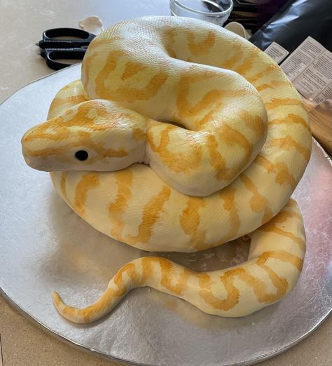 Snake Birthday Cake, Reptile Cake, Sleepover Cake, Snake Cake, Snake Cakes, Alcohol Cake, Pastry Design, Cookie Cake Pie, Cute Baking