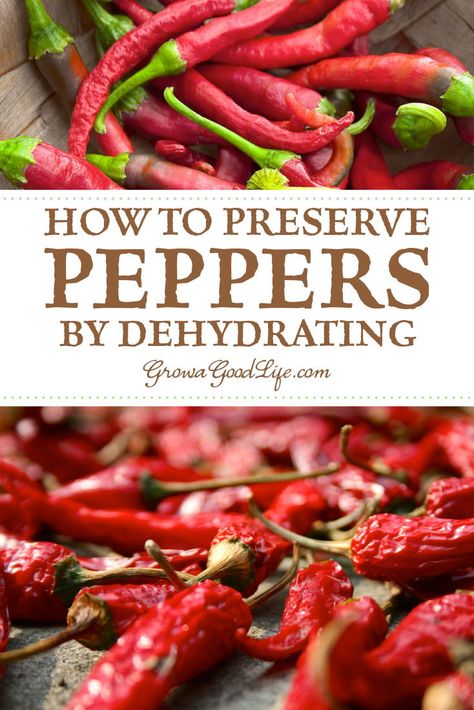 Preserve Chili Peppers, How To Dehydrate Cayenne Peppers, How To Dehydrate Hot Peppers, How To Dry Chilli Peppers, Dehydrate Hot Peppers, Dehydrate Chili Peppers, How To Dehydrate Peppers In Dehydrator, How To Dehydrate Chili Peppers, How To Use Dried Jalapenos