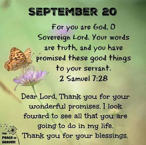 #14709 September 20~2 Samuel 7:28 I Miss Him Quotes, Psalms Quotes, Inspirational Good Morning Messages, Heaven Quotes, 2 Samuel, Christian Quotes Prayer, Inspirational Verses, Good Morning God Quotes, Biblical Inspiration