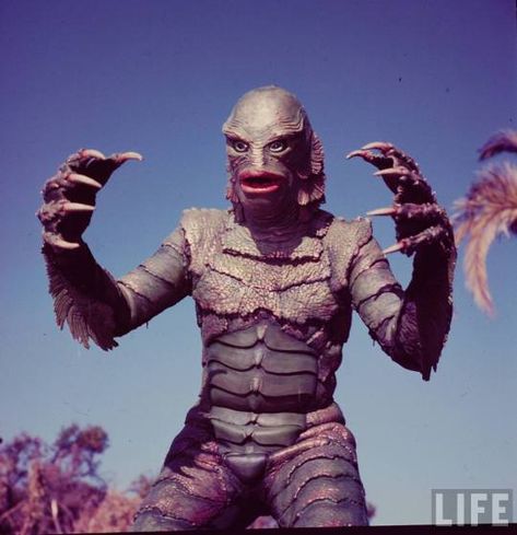 thevaultofretroscifi Arnold Movies, Life Magazine Photos, Creature From The Black Lagoon, The Black Lagoon, The Creeper, Famous Monsters, Horror Monsters, Classic Horror Movies, Black Lagoon