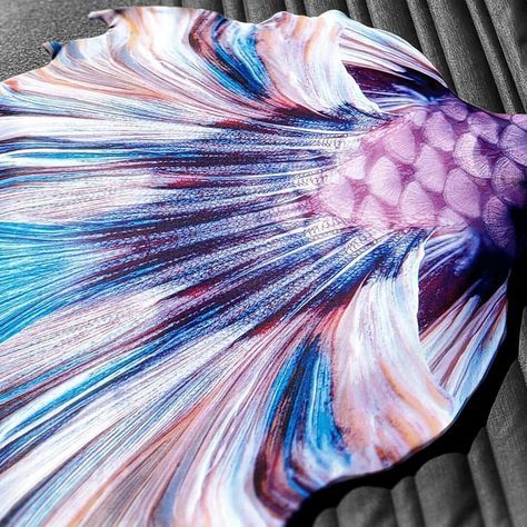 Wisteria Betta Fish  Seas The Day Collection 🌴 ♒ Limited Edition - Winter 2019 Small Batch Production  Designer: Kristie Foster 💕  #limitededition #bettafish #wisteria #betta #mermaidtail #designermermaidtails #mermaid #merman #mermaidscales #siren #mermaidsofinstagram #mermaidhair #mermaidlove #design #designer #smallbatch #cosplay #lavender #fish #swim #underwater Betta Fish Mermaid Tail, Siren Tail, Moon On The Water, Silicone Mermaid Tails, Beta Fish, Fish Scales, Mermaid Tails, Mermaid Scales, Mermaid Life